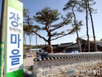 증평군 장이익어가는마을, 절임배추 예약판매