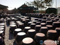 증평 장이 익어가는 마을 장독대 이색풍경 눈길