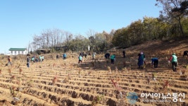 충남 당진 면천면, 쾌적환 환경 조성 봉사활동