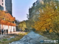 복잡한 마음 청계천 보며 산책…여유롭네요~
