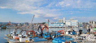 몸과 마음 힐링 해줄 강릉 주문진항…볼 거리 풍성해요~