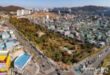 부평구, 십정완충녹지 애칭 ‘부평열우물숲’으로 선정