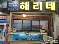 제주도의 숨은 맛집, 해리네 횟집