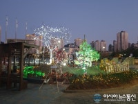 함께 나눠요 ....세종시 도담동 크리스마스트리 설치, 야간 가로경관 조명도