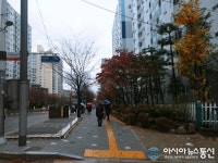 비 내리는 강남구 학동로 인근 거리