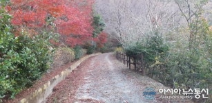 가을 비대면 관광지‘진해드림로드’ 풍경