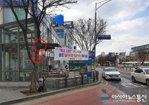 [아통포토] 나무를 게시대로 사용하는 동작구보건소…나무가 죽어가요