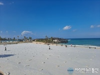 [아통포토] 제주 여행 필수 코스