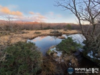 [아통포토]제주, 한라산 아름다운 1100고지 자연습지