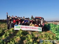 [미담] 충남 당진 순성면, 배추가격 폭락 농가 일손 돕기