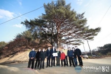 수령 600년 예천 수한리 소나무 문화재지정서 전달