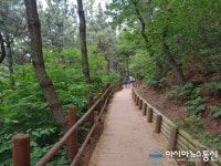 부평구 장수산 무장애나눔길, 사후관리 모니터링 평가 ‘최우수기관’ 선정