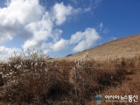 [아통포토] 제주도 새별오름…