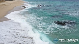 [아통포토] 전동진 바다의 아름다움