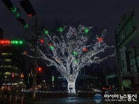 도시 숲 야간 희망 열매 단 트리…금산읍 진악지구대 수목