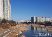 [새해첫날] 전주시 삼천변 코로나 뚫고 희망의 새해가 찾아왔다!