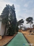 [아통포토] 멋진 나무가 곳곳에 있는 라비돌CC