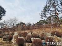 [아통포토] 여유로운 라비돌CC