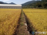 포스코, 규산질 슬래그 비료 우수성 입증