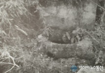 [기획] 순창의 샘(81) 쌍치면 중안리 원중안 통샘