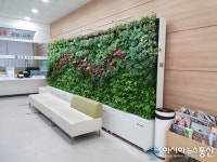 해운대구청 민원실에 ‘실내정원’이 생겼어요