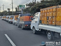 [아통포토] 롯데칠성음료 제주감귤 가공공장 앞 차량들 과태료 부과 대상
