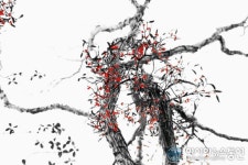 [아통포토] 정상기 작가의 사진