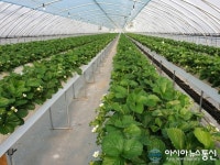 공주시, 내달 9일까지  ‘올  농촌진흥 시범사업’ 신청 접수