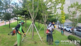 충남 천안시, 체계적인 가로녹지 유지관리 추진