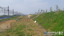 청주시, 오송산단 미세먼지 차단 숲 조성