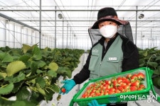 경북 이웃사촌 시범마을 순항