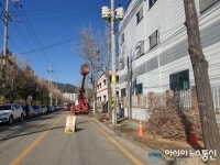 마산회원구, 광려천남로 등 구간 가로수 전정공사