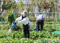 성동구에서 푸릇푸릇 꿈이 활짝 도시농부 되어볼까