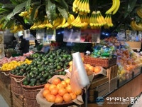 [아통포토] 과일풍년, 설날선물 어떤 게 좋을까?