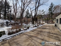 [아통포토] 서울 낙성대공원, 코로나19로 시민들 발길 뜸해져