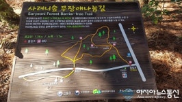 [아통포토] 가볍게 산책하기 좋은 제주 사려니숲길