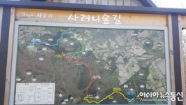 [아통포토] 신성한 온대산림, 사려니숲길!