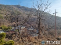 [아통포토] 설 연휴, 조용한 고향 마을