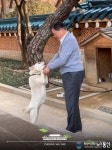 [아통 포토] 풍산개 곰이 발 잡고 놀아주는 문재인 대통령