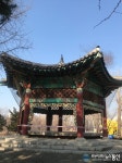 [아통포토] 어린이대공원 육각정, 눈으로만 봐요
