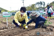진주시, 시민 텃밭 분양