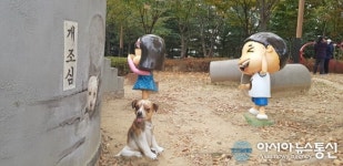 [아통포토] 무궁화 꽃이 피었습니다!