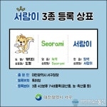 대전 서구, 서람이 고유상표 사용권 승인 포장재 지원사업 추진