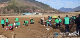 밀양시 새마을회, 새마을 사랑나눔 감자심기