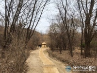 [아통포토] 멀리 초막집이 보이는 길동생태공원 산책길