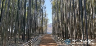 하동 섬진강변에 새로운 힐링 명소 생겼다