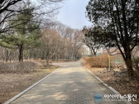 [아통포토] 양재시민의 숲 상쾌한 공기 함께해요