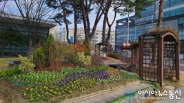 금천구, 치유와 활력의 봄꽃 피어나다