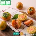 현대홈쇼핑, 저탄소 인증 대저토마토 산지 라이브 방송 선보여
