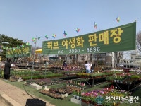 [아통포토] 허브, 야생화 사러오세요